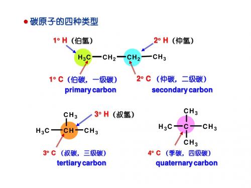 5.烯烃(3)