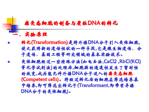 〖医学〗感受态细胞的制备与质粒DNA的转化