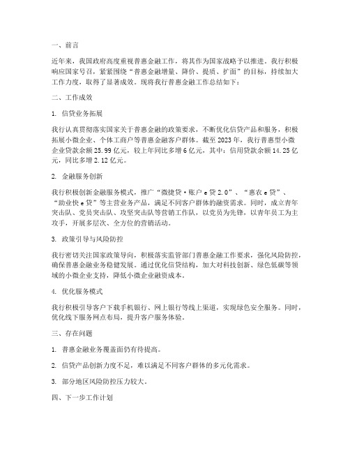 普惠金融工作总结报告