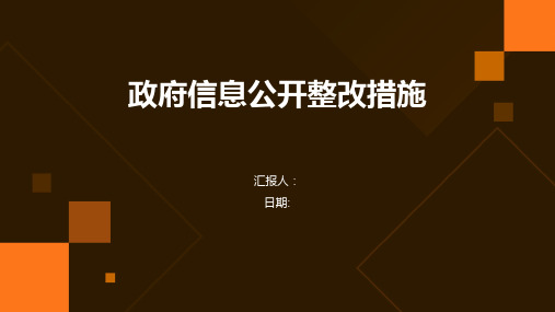 政府信息公开整改措施