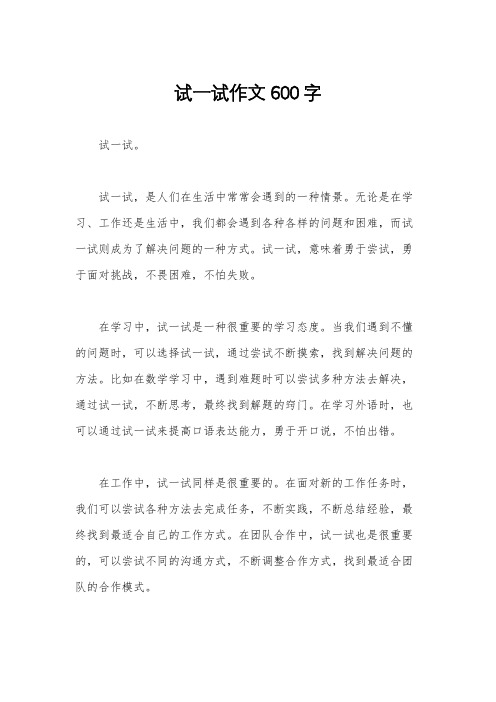 试一试作文600字