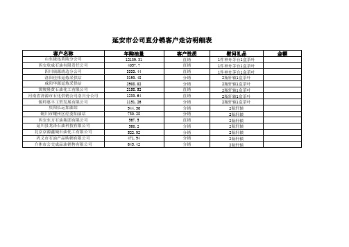 直分销客户走访明细表