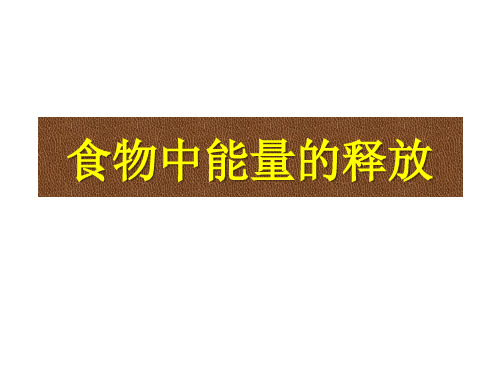 北师大版七年级生物下册： 食物中能量的释放