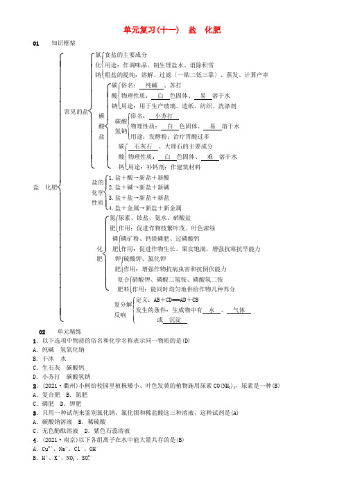 最新九年级化学下册第十一单元《盐化肥单元复习十一盐化肥》专项练习(附答案)