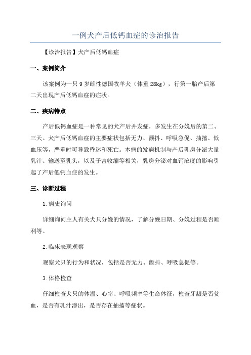 一例犬产后低钙血症的诊治报告