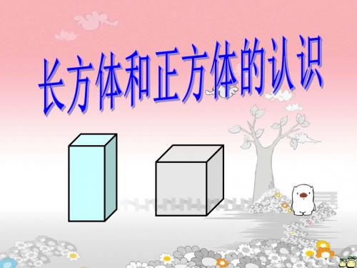 六年级数学上册：长方体和正方体的认识课件