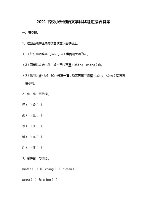 2021名校小升初语文学科试题汇编含答案