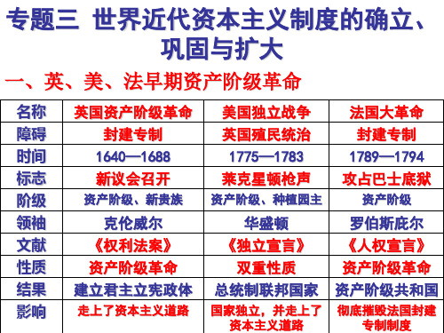 专题三 世界近代资本主义制度的确立、巩固与扩大