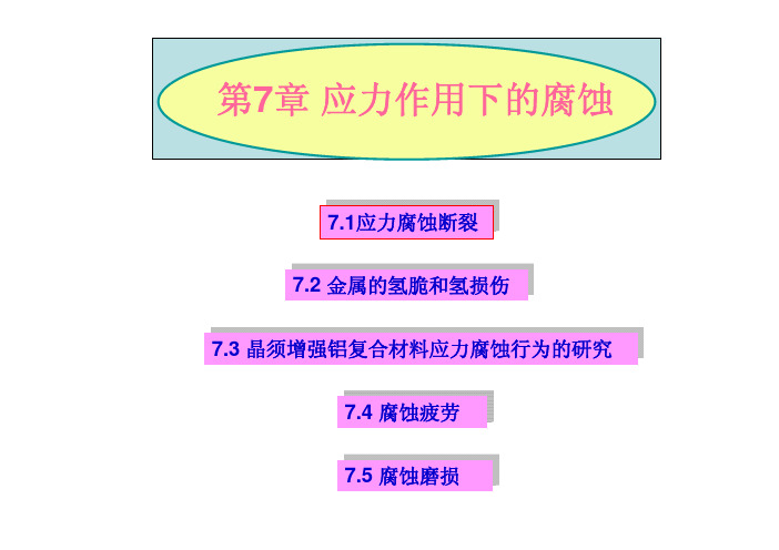第_7_章_应力腐蚀