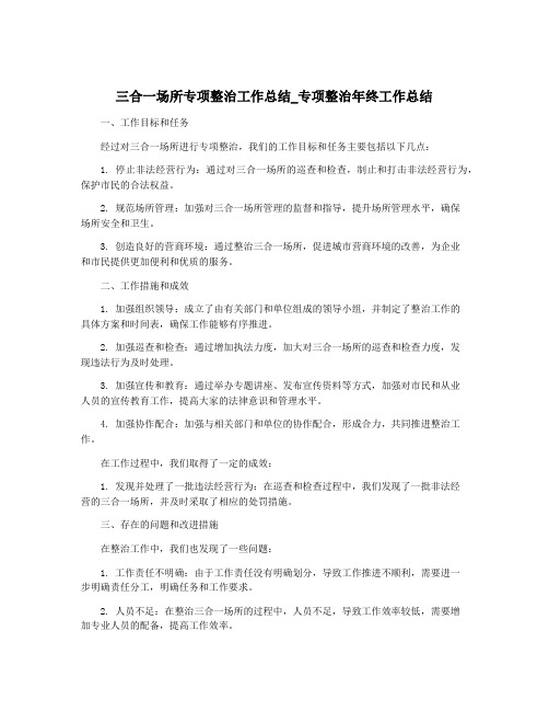 三合一场所专项整治工作总结_专项整治年终工作总结