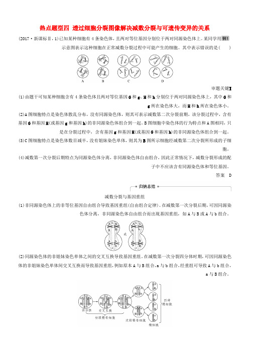 2018_2019学年高考生物大一轮复习热点题型四透过细胞分裂图像解决减数分裂与可遗传变异的关系学案_3104