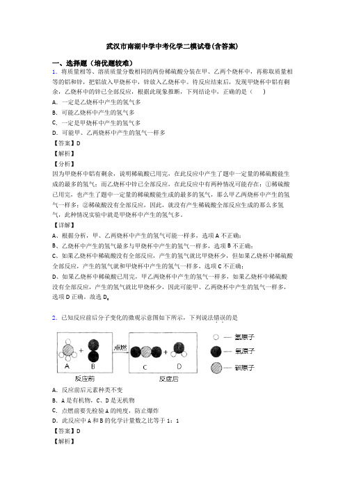 武汉市南湖中学中考化学二模试卷(含答案)