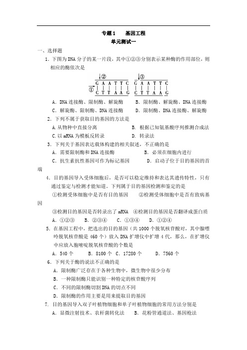 人教版 基因工程 单元测试