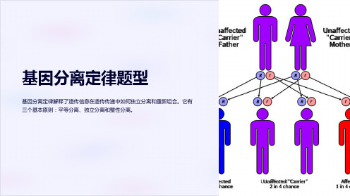 基因分离定律题型