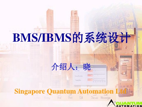 BMSIBMS的系统设计