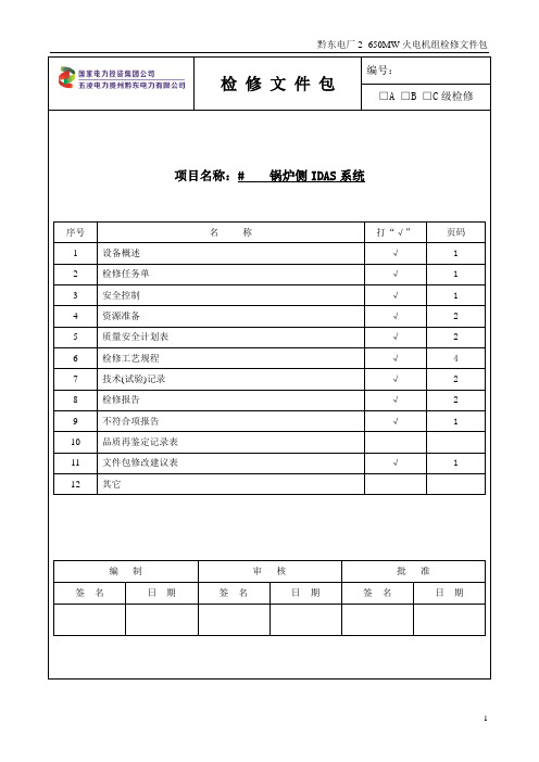 RK010 锅炉IDAS装置检修