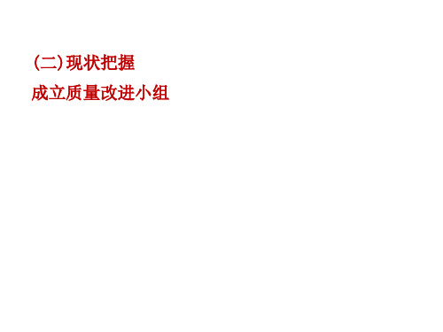 某公司质量改进项目汇报PPT课件