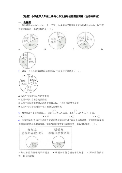 (好题)小学数学六年级上册第七单元扇形统计图检测题(含答案解析)