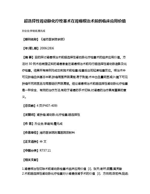 超选择性肾动脉化疗栓塞术在肾癌根治术前的临床应用价值