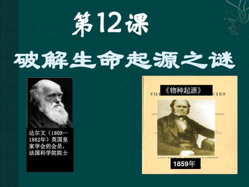 人教版高中历史必修三《破解生命起源之谜》