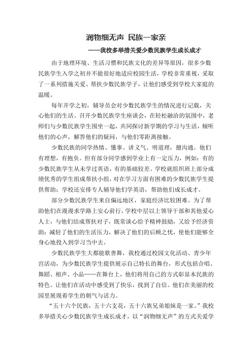 关爱少数民族学生成长措施