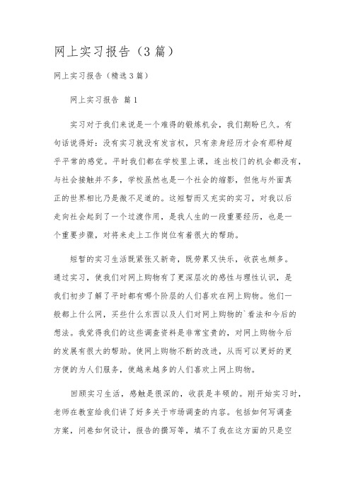 网上实习报告(3篇)