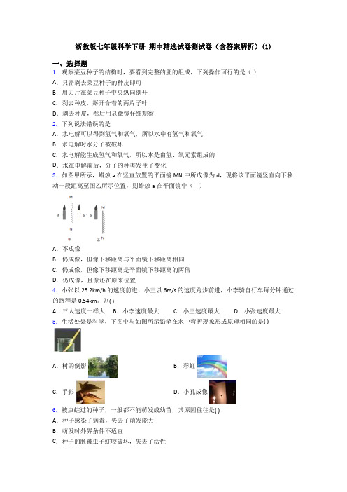 浙教版七年级科学下册 期中精选试卷测试卷(含答案解析)(1)