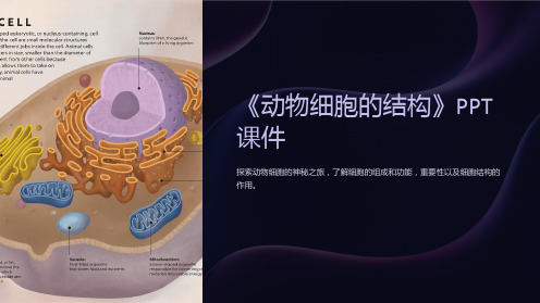 《动物细胞的结构》课件