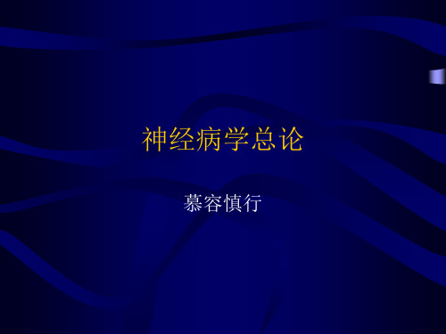 神经病学总论(一)
