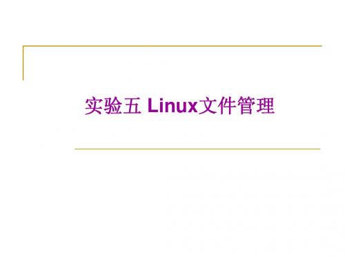 Lab5 Linux文件管理