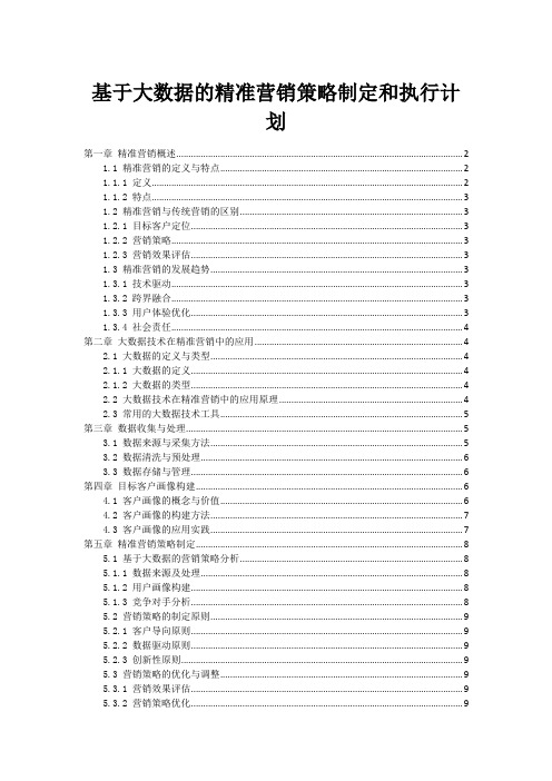 基于大数据的精准营销策略制定和执行计划