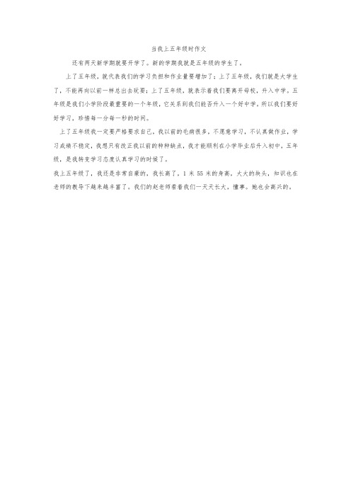 当我上五年级时作文500字作文