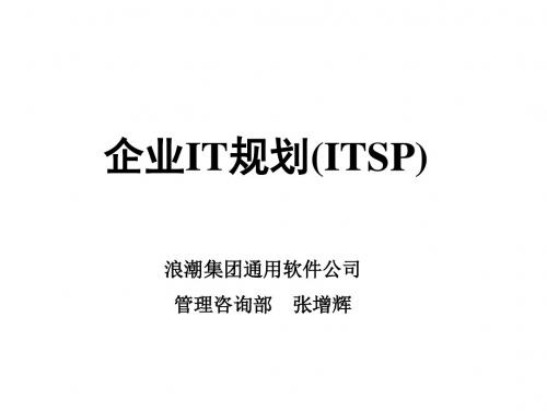 企业IT规划(ITSP)