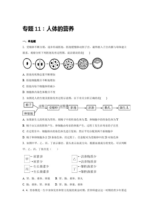 中考生物会考复习专项训练11：人体的营养(基础版,含详解)