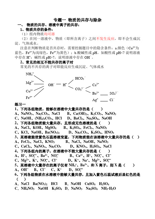 初中化学总复习专题一 物质的除杂与共存