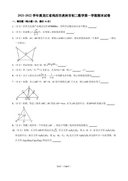 2021-2022学年黑龙江省鸡西市虎林市初二数学第一学期期末试卷及解析