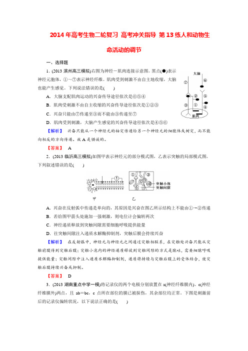 高考生物二轮复习 高考冲关指导 第13练人和动物生命活动的调节