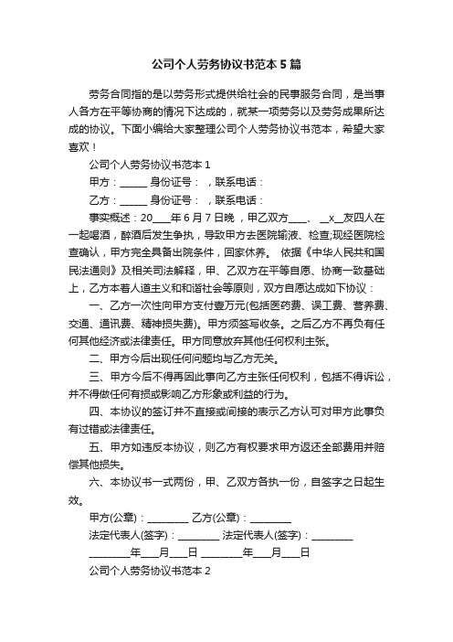 公司个人劳务协议书范本5篇