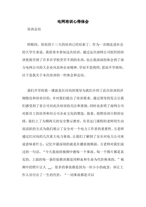 电网培训心得体会