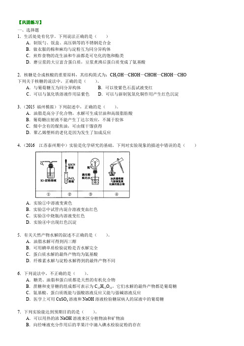 巩固练习_《生命中的基础有机化学物质》全章复习与巩固_基础