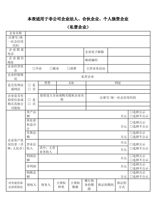 企业信用信息公告系统年度报告模板：私营其他企业