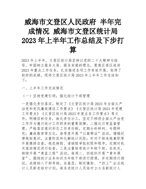 威海市文登区人民政府 半年完成情况 威海市文登区统计局2023年上半年工作总结及下步打算