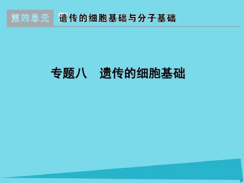 版高考生物一轮复习 专题 遗传的细胞基础课件