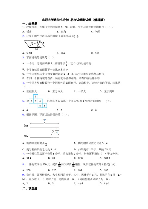 北师大版数学小升初 期末试卷测试卷(解析版)