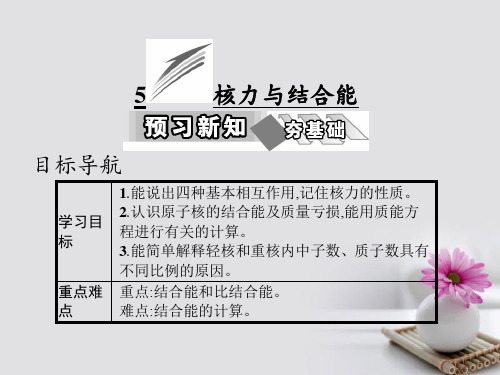 2017高中物理第十九章原子核5核力与结合能课件