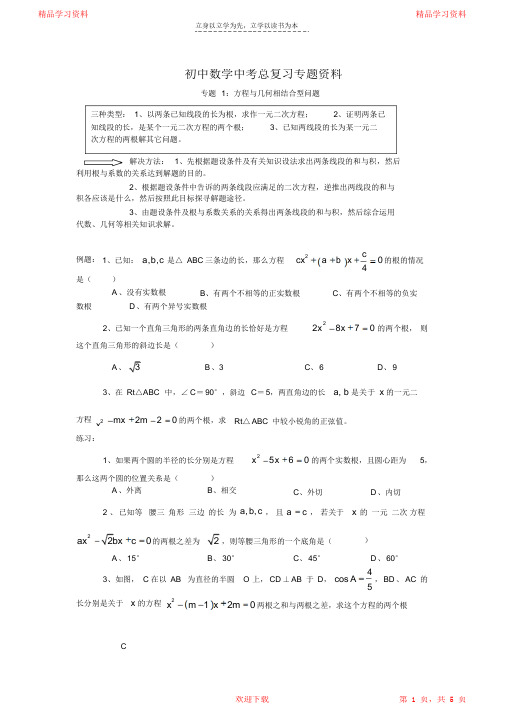 2021初中数学中考总复习专题资料(完整版)