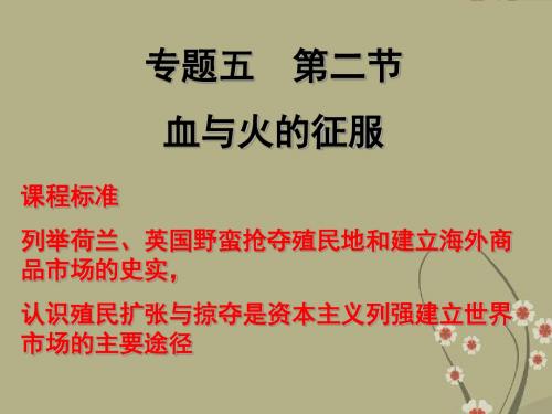 高中历史血与火的征服与掠夺2课件人民版必修2