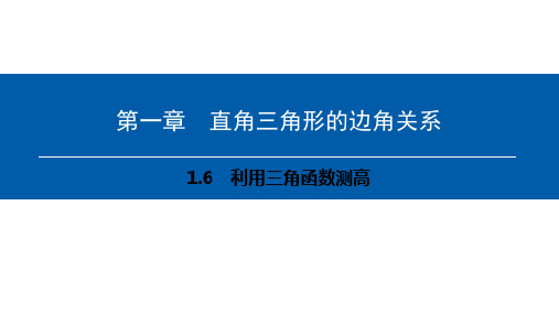 第一章 1.6 利用三角函数测高