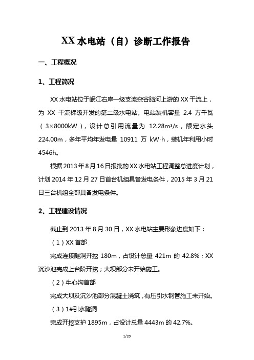 某水电站工程施工自诊断工作报告资料