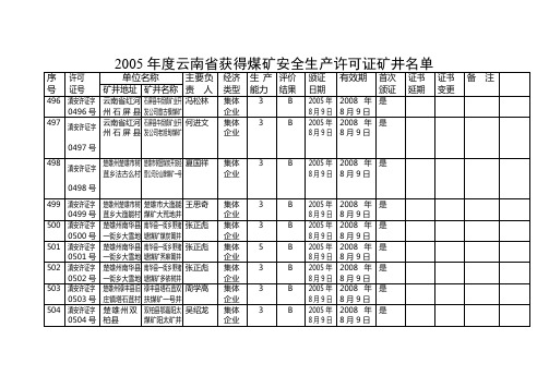 2005有证矿井3